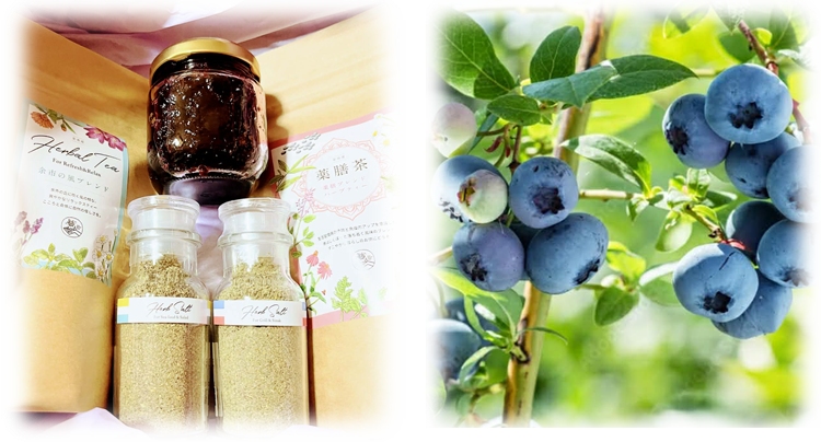 ギフトボックス ~季節の便りFrom Yoichi~